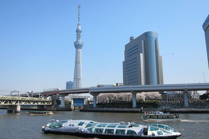 private-transfer-for-custom-day-tour-in-tokyo