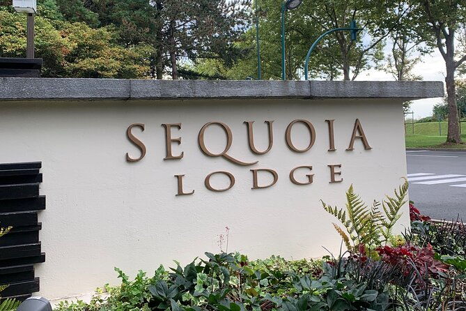 private-transfer-from-airport-to-disneyland-paris-or-vice-versa