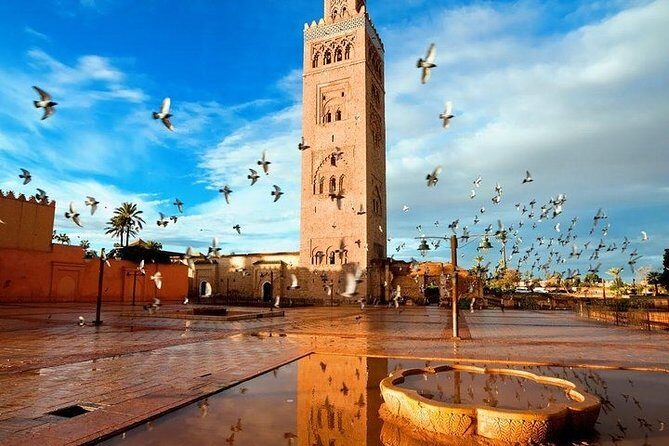 Private transfer from Airport to Hotels Riads in Marrakech - Additional Practical Details