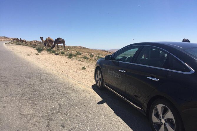 Private Transfer from Amman to Petra, Wadi Musa - Who Is This Tour Best For?