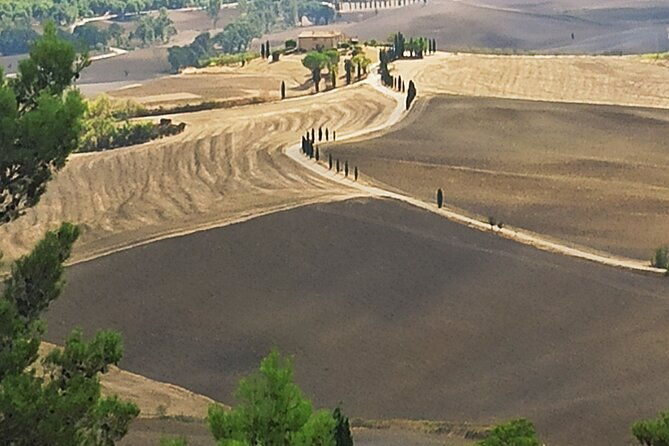 private-transfer-from-assisi-to-florence-with-stops-in-cortona-montepulciano