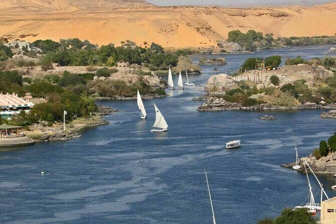 Private Transfer From Aswan to Marsa Alam or Vice Versa - The Sum Up