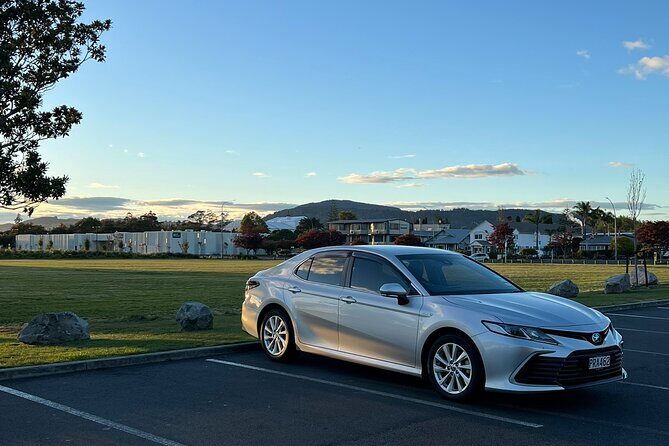 Private Transfer From Auckland Airport To Muriwai Beach - What to Expect From Your Auckland Airport to Muriwai Beach Transfer