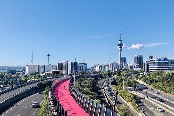 Private Transfer From Auckland City To Auckland Airport Oaks - Key Points