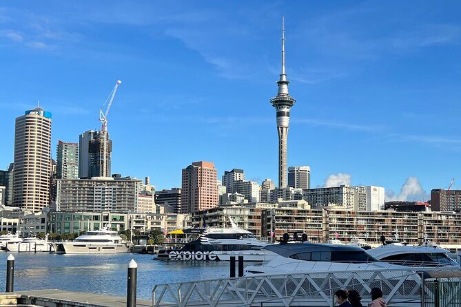 Private Transfer From Auckland City To Auckland Airport Oaks - The Sum Up