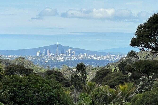 Private Transfer From Auckland International Airport To Auckland City - FAQs