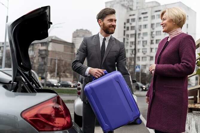 Private transfer from Cairo Airport to the hotel in Cairo or Giza - What to Expect from Your Transfer