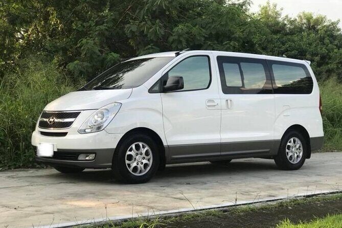 Private Transfer from Cairo International Airport to Cairo &Giza - Who Will Appreciate This Service the Most