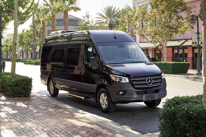 Private Transfer from Carnival Cruise Port to Jacksonville City - Meeting Points and Ease of Use  