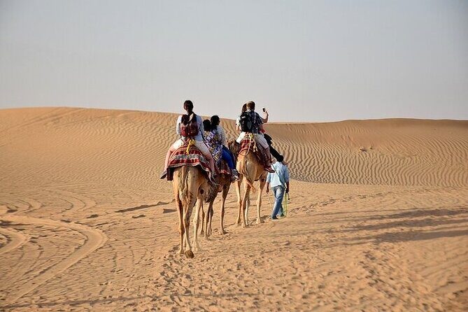 Private Transfer from Dubai to Abu Dhabi - Who Should Consider This Service?