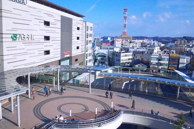 private-transfer-from-haneda-airport-to-hachiko-city-japan