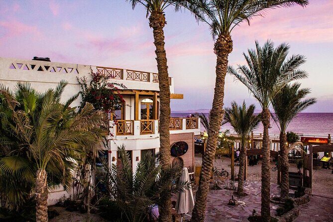 Private Transfer from Hotel in Dahab To Sharm el Sheikh Airport - Authentic Feedback and Experiences