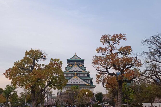 private-transfer-from-kansai-international-airport-to-osaka