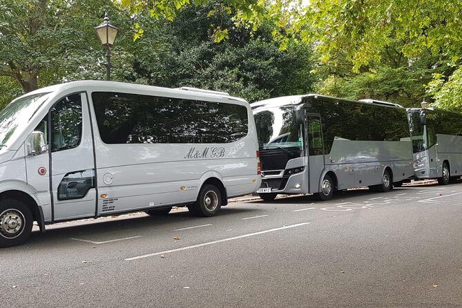 Private Transfer from London to Southampton cruise port - Key Points