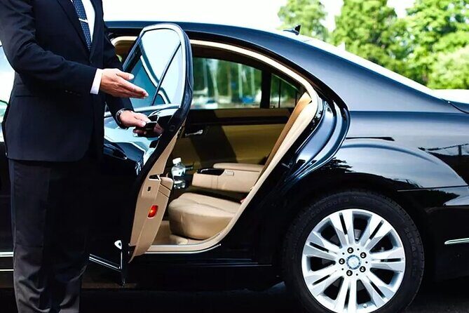 Private Transfer from Luxor Airport to Luxor Hotels - Key Points