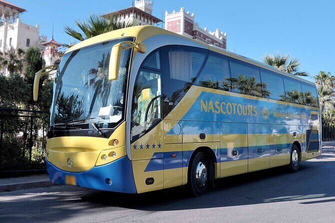 Private Transfer from Luxor Hotels to Luxor Airport - What You Can Expect During Your Transfer