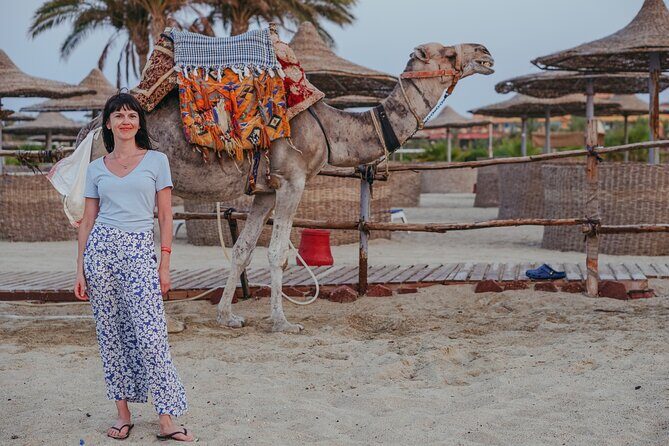 Private Transfer from Luxor to Marsa Alam or vice versa - An Honest Look at the Experience