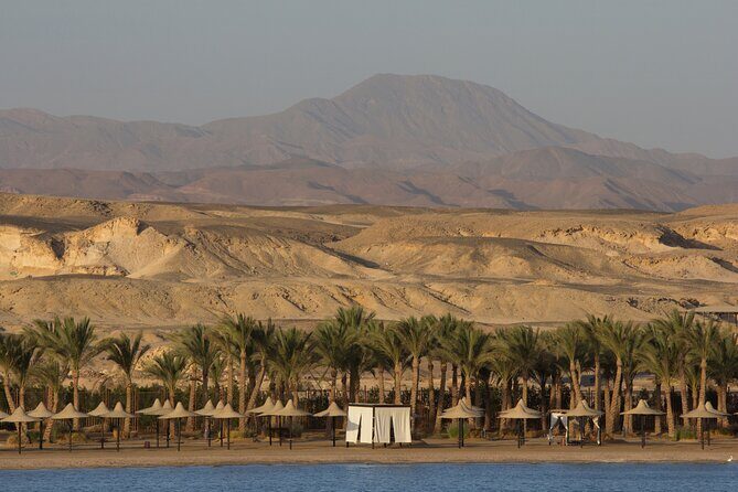 Private Transfer from Luxor to Marsa Alam or vice versa - Who is This Transfer Best For?