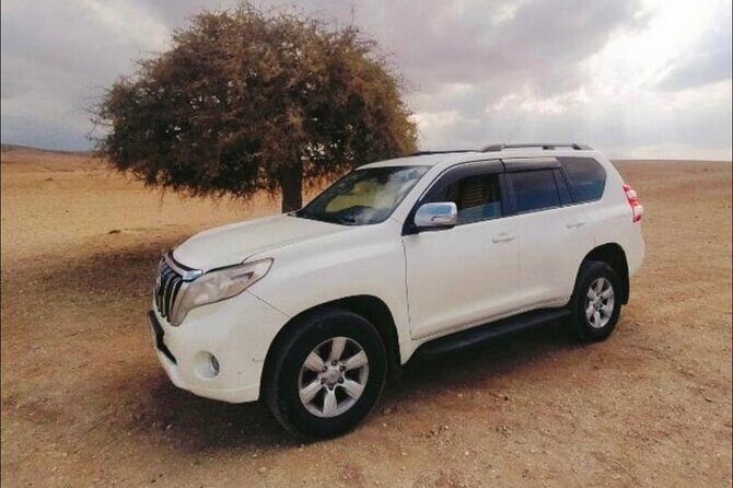 Private transfer from Marrakech Airport to Hotels and Riads in Marrakech medina - Who Should Use This Service?