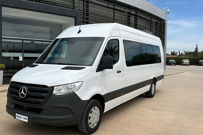 Private Transfer From Marrakech Airport to Marrakech Hotel - Who Will Love This Service?
