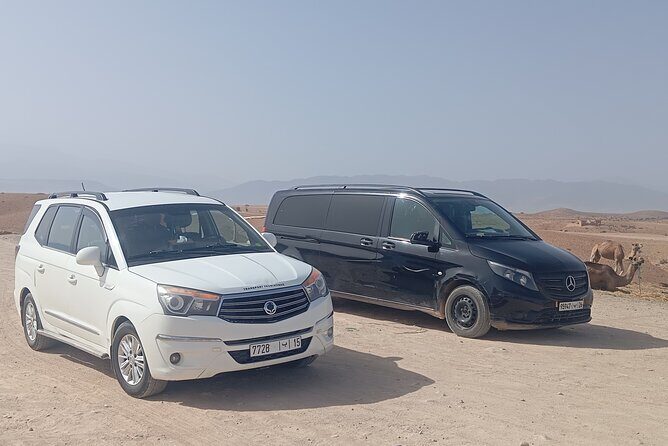 Private Transfer from Menara Airport to Marrakech Hotel - Key Points