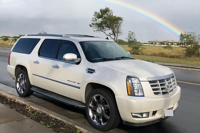 Private Transfer from Moorea island hotels to Moorea Cruise Port - Who Should Book This Transfer?