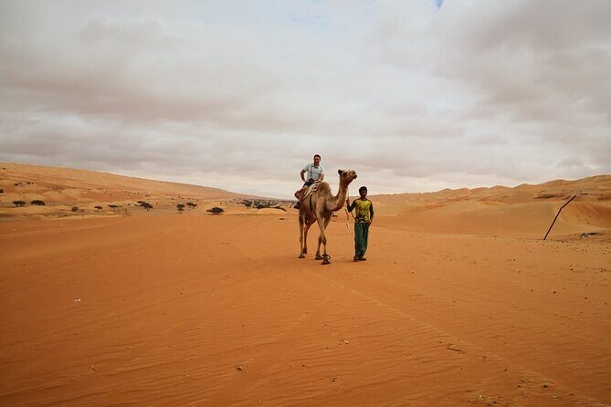 Private Transfer from Muscat to Wahiba Sand Desert by 4WD Vehicle - Practical Details & Tips for Travelers