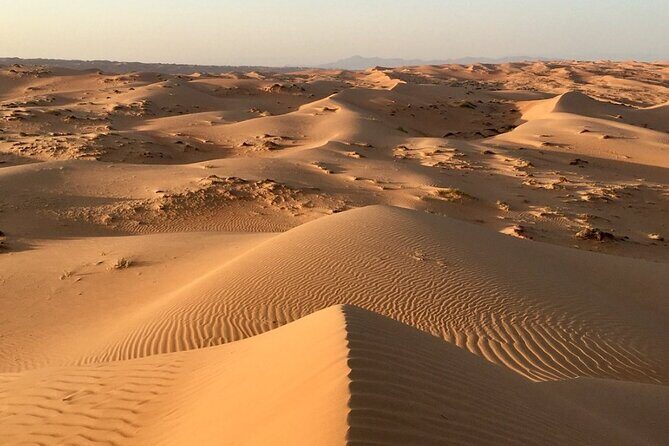 Private Transfer from Muscat to Wahiba Sands Desert - The Authenticity and Reviews — What Travelers Say