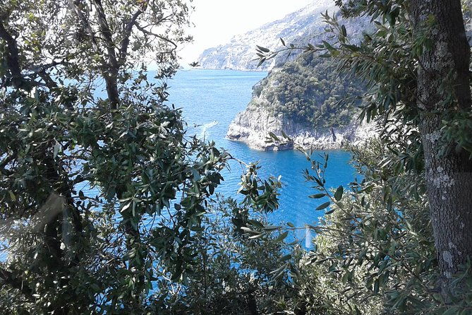 private-transfer-from-naples-to-ravello-sorrento-stop-at-pompeii