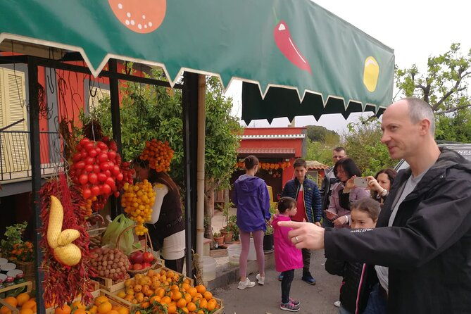 private-transfer-from-naples-to-sorrento-or-vice-versa-via-pompei-or-vineria-2