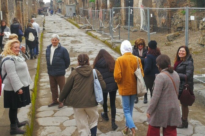 private-transfer-from-naples-to-sorrento-or-vice-versa-via-pompei-or-vineria