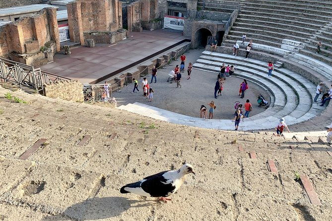 private-transfer-from-naples-to-sorrento-with-stop-in-pompeii