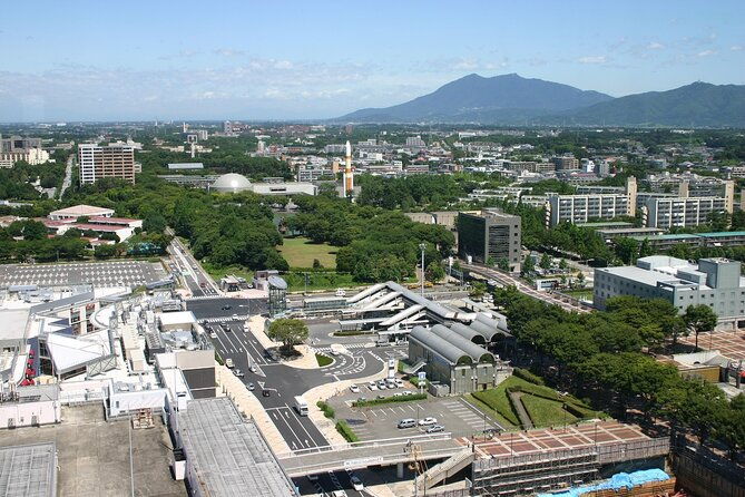 private-transfer-from-narita-airport-to-ibaraki-city-japan