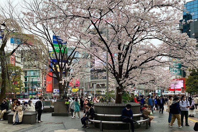 private-transfer-from-narita-airport-to-prince-hachi-city-japan