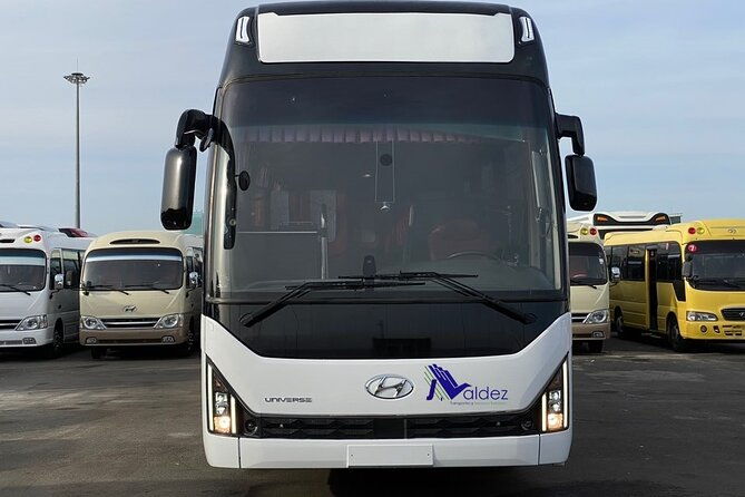 private-transfer-from-or-to-punta-cana-airport-to-hotels-in-bavaro