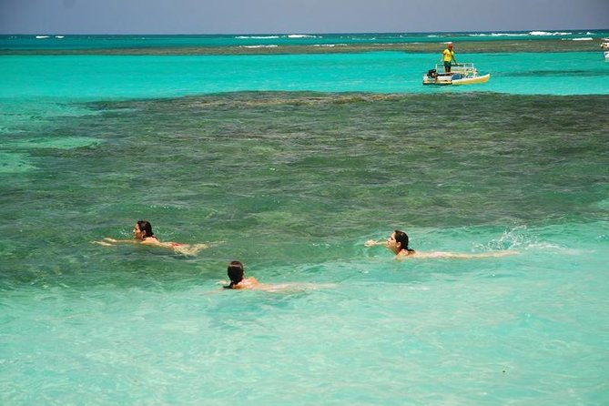 private-transfer-from-recife-to-maragogi-01-to-06-pax-by-geotur-receptives