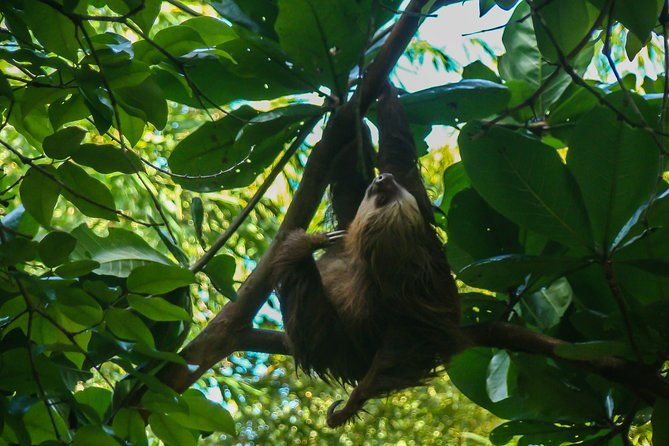 private-transfer-from-san-jose-to-puerto-viejo-limon