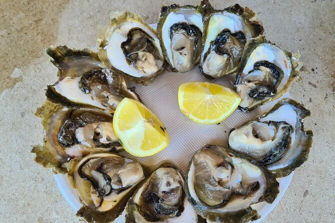 private-transfer-from-split-to-dubrovnik-via-ston-city-walls-2