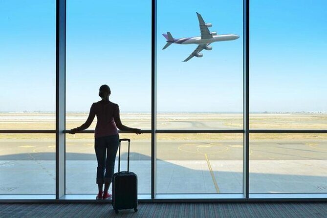 Private Transfer From/To Luxor International Airport - Service Reliability and Punctuality