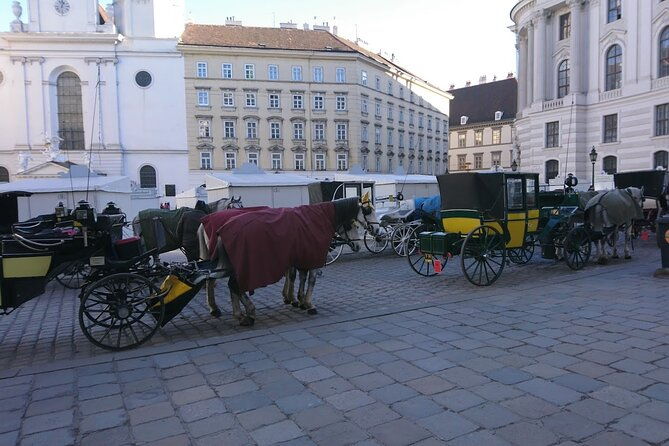 private-transfer-from-venice-to-vienna-or-vienna-to-venice