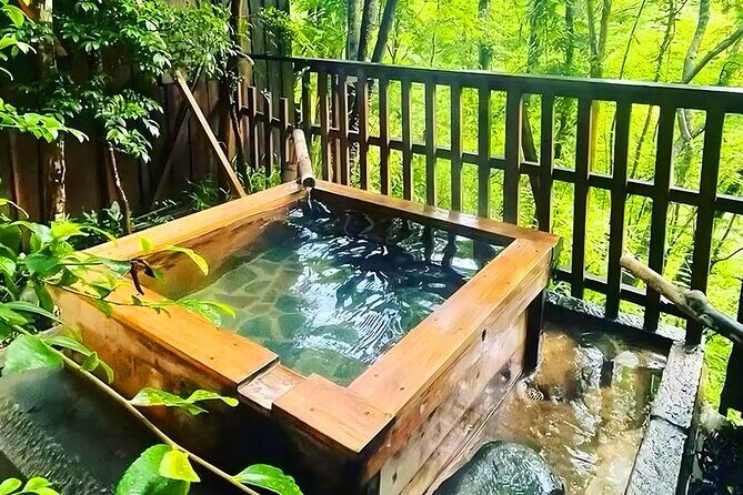 Private Transfer Fukuoka Airport FUK to Fukuoka City Roundtrip - What Real Customers Have Noted