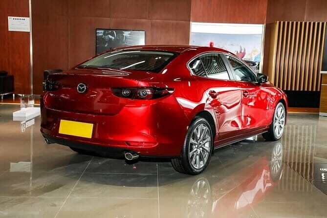 Private Transfer in Shenzhen with English Service - The Experience: What You Can Expect