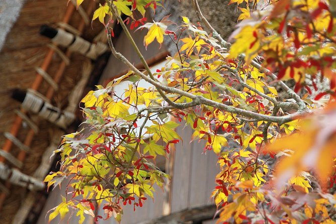 private-transfer-kanazawa-to-takayama-including-shirakawago