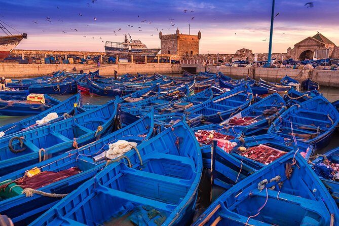 Private Transfer: Marrakech to Essaouira (Door-to-Door) - In-Depth Review: The Marrakech to Essaouira Private Transfer