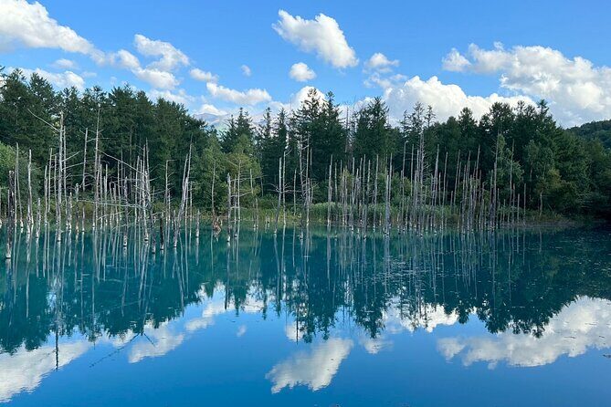 Private Transfer New Chitose Airport to Hokkaido Attractions - Key Points