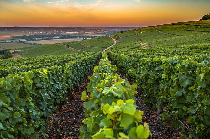 private-transfer-paris-airport-cdg-to-reims-champagne-by-van