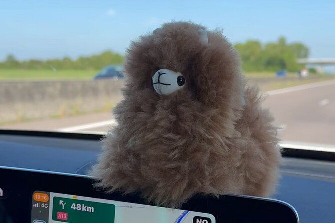 private-transfer-paris-from-and-to-airport-cdg-orly-beauvais