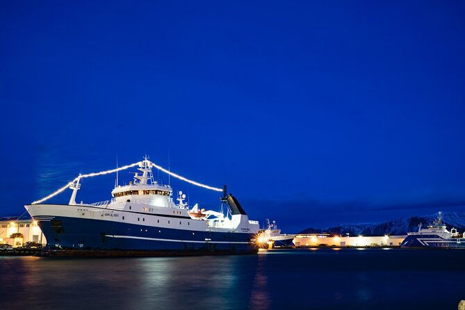 private-transfer-service-from-hotels-in-reykjavik-to-cruise-ship-terminal-2