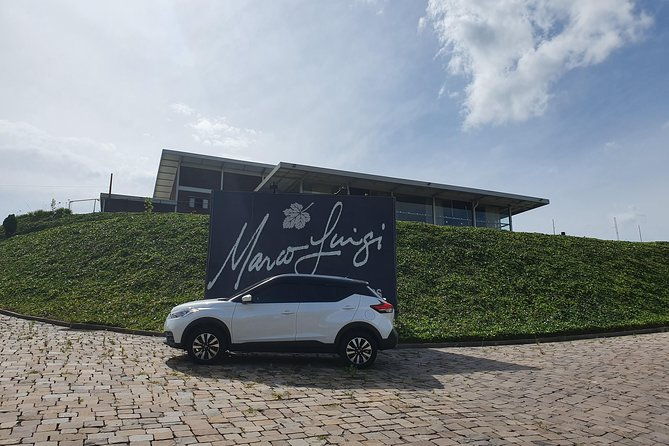 private-transfer-to-airports-tours-and-events-driverdriver-guide
