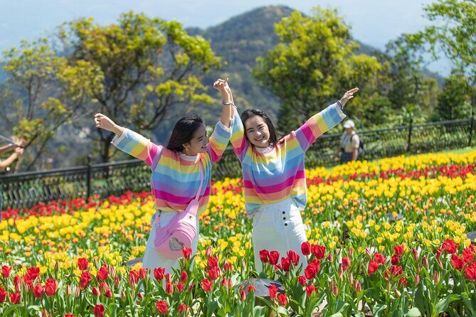 Private Transfer to Ba Na Hills - A Closer Look at the Experience